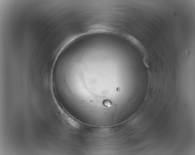 X0000068741431200604281128