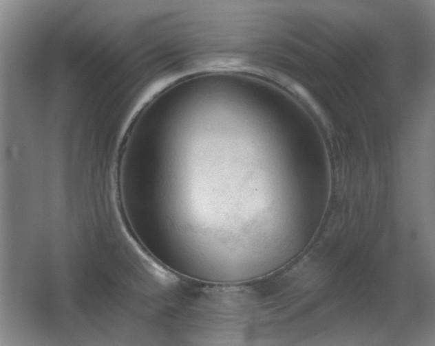 X0000068741432200604281128