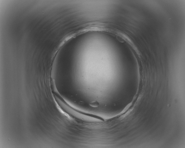 X0000068741433200604281128