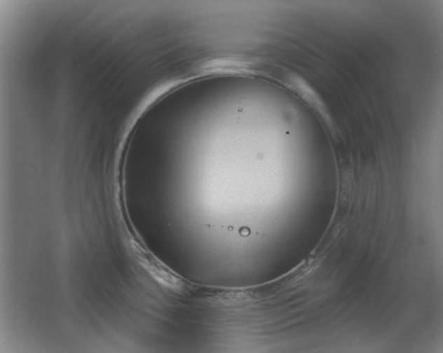 X0000068741435200604281128