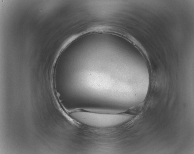 X0000068741437200604281128