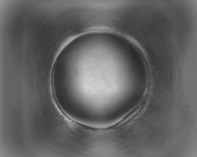 X0000068741440200604281128