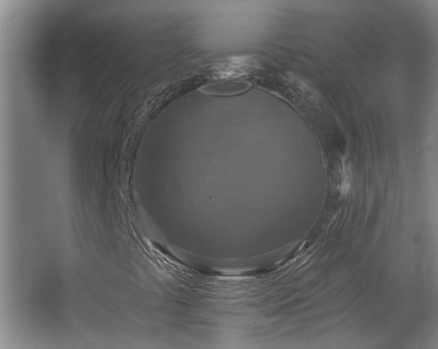 X0000068741441200604281127