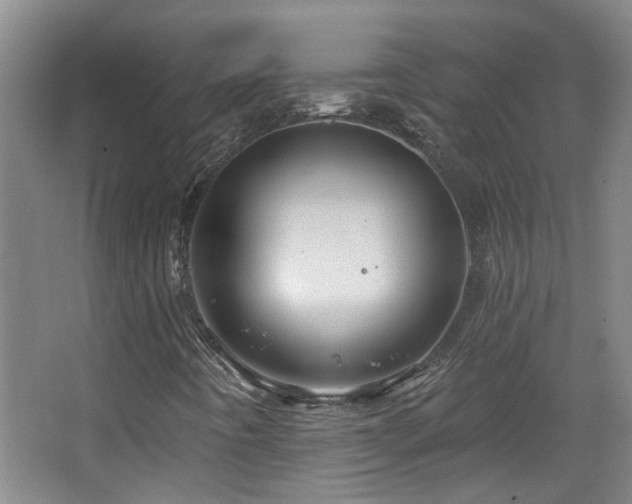 X0000068741442200604281127