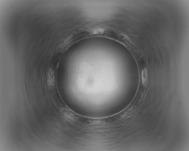 X0000068741443200604281127