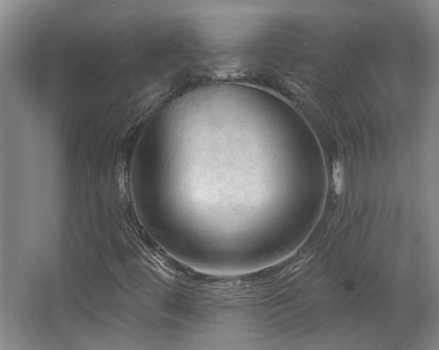 X0000068741444200604281127