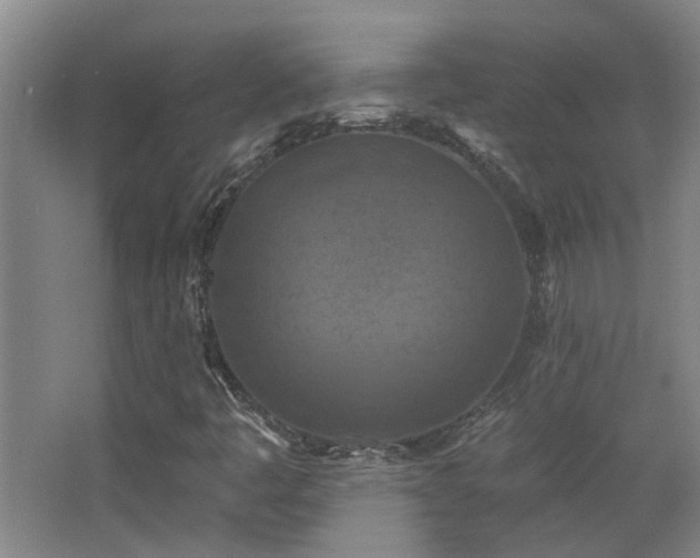 X0000068741445200604281127