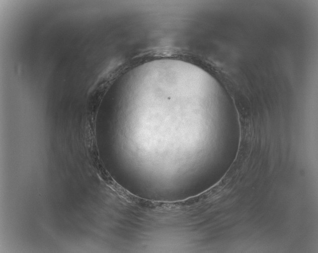 X0000068741446200604281127