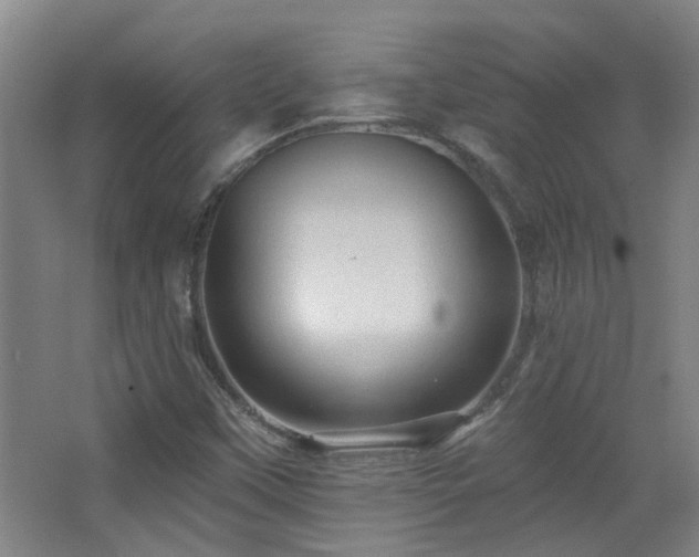 X0000068741451200604281127