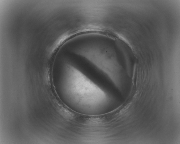 X0000068741455200604281127