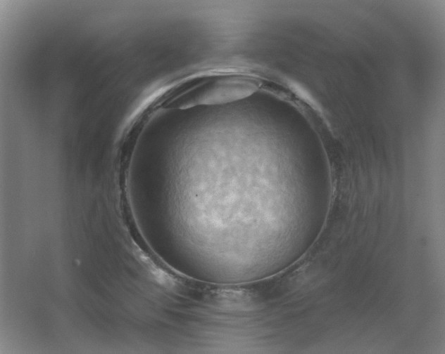 X0000068741456200604281127