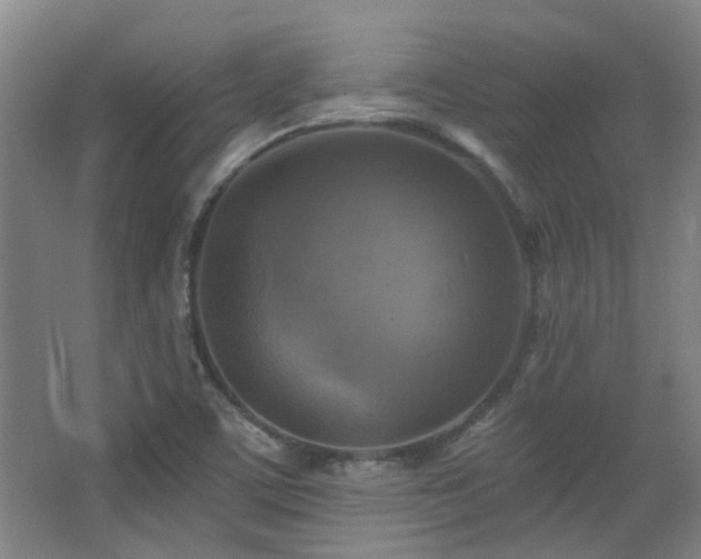 X0000068741459200604281127