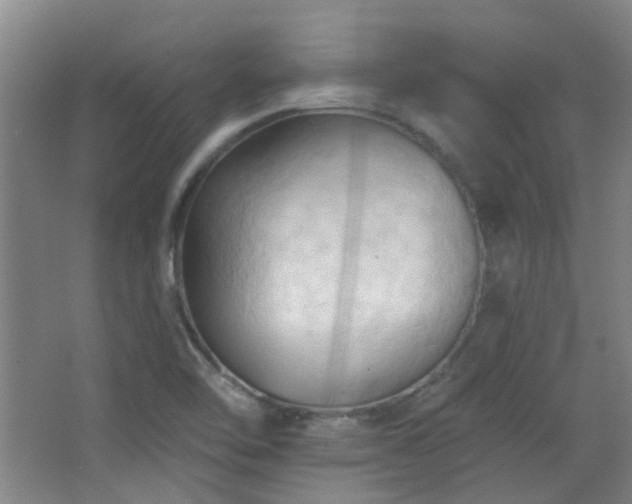 X0000068741462200604281127