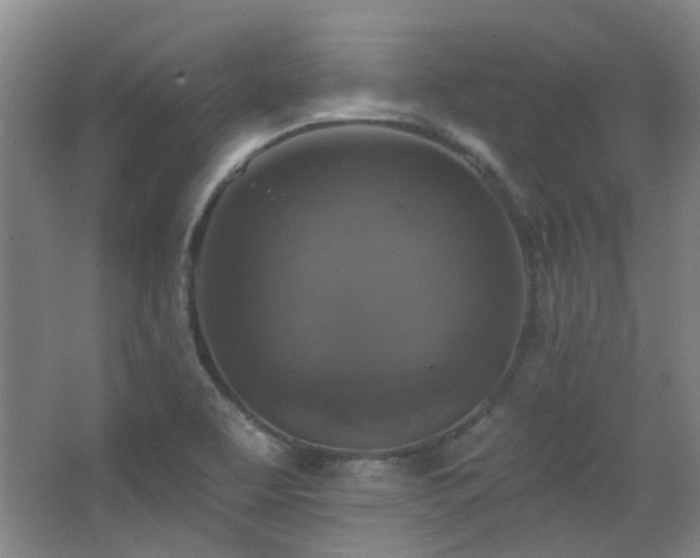 X0000068741463200604281127