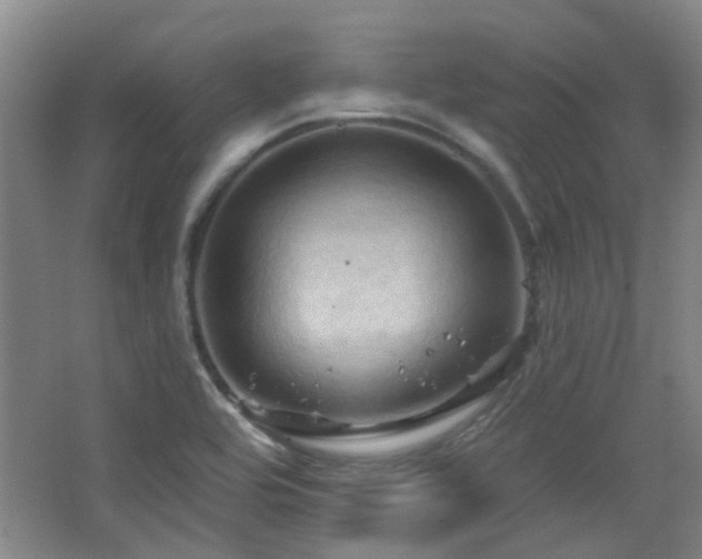 X0000068741464200604281127