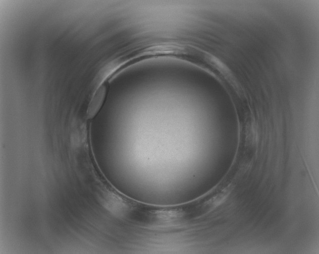 X0000068741465200604281127