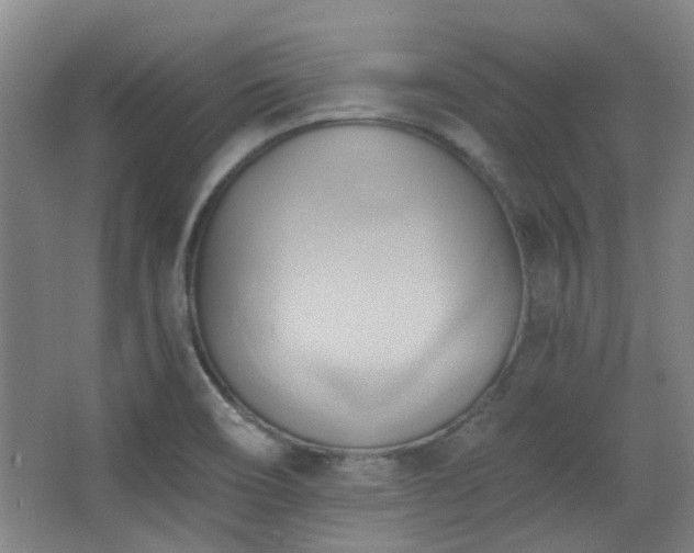 X0000068741466200604281127