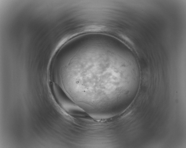 X0000068741467200604281127