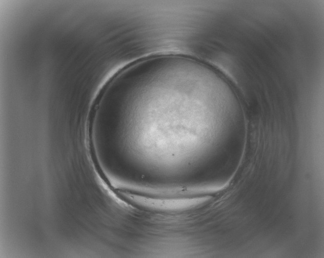 X0000068741468200604281127