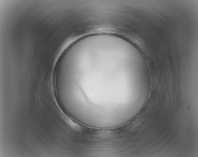 X0000068741470200604281127