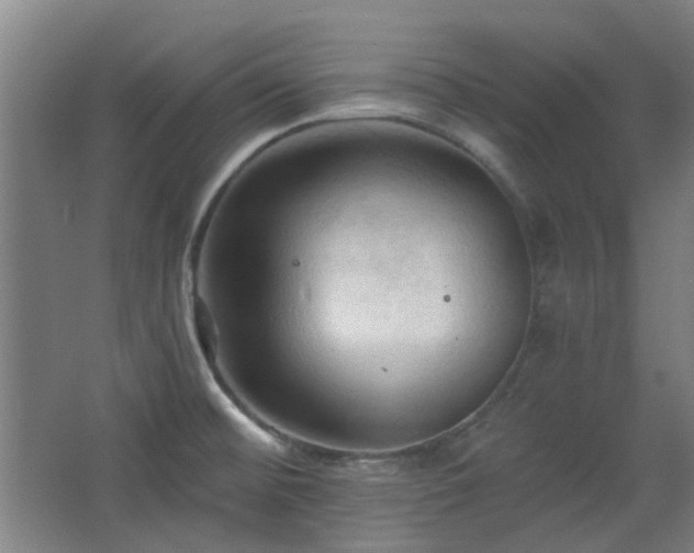 X0000068741476200604281127