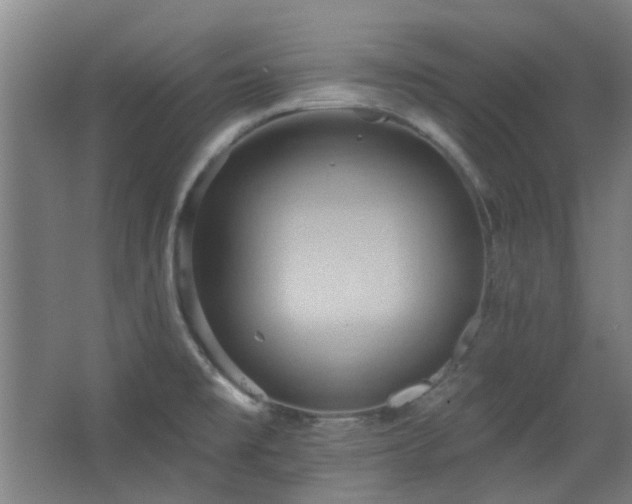 X0000068741477200604281127