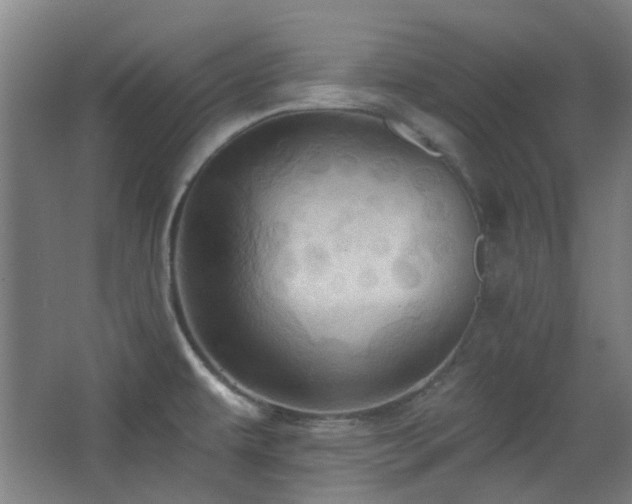 X0000068741479200604281126