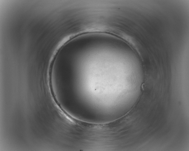 X0000068741480200604281126