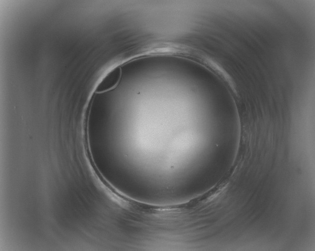 X0000068741483200604281126