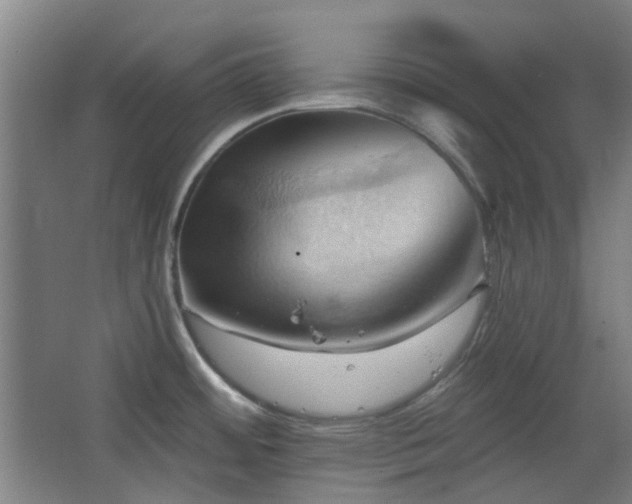 X0000068741484200604281126