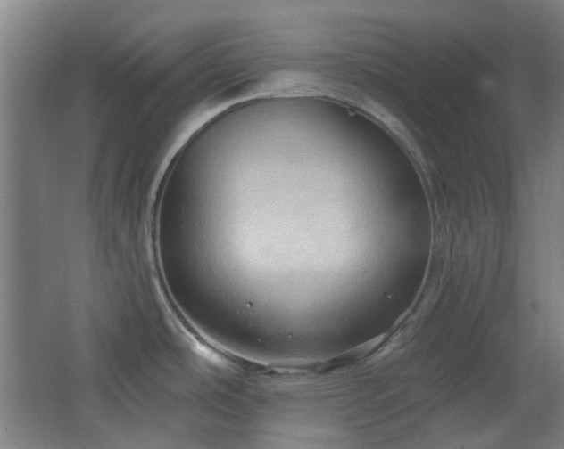 X0000068741486200604281126