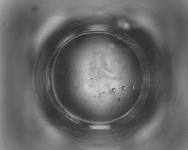 X0000068741487200604281126