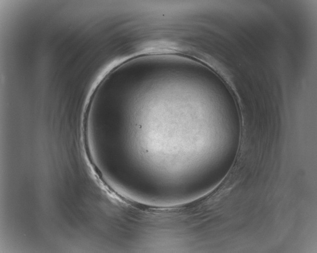 X0000068741488200604281126