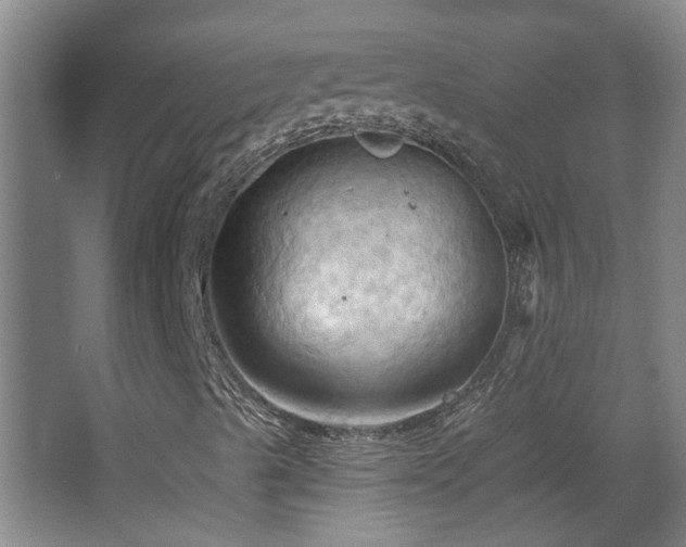 X0000068741489200604281126