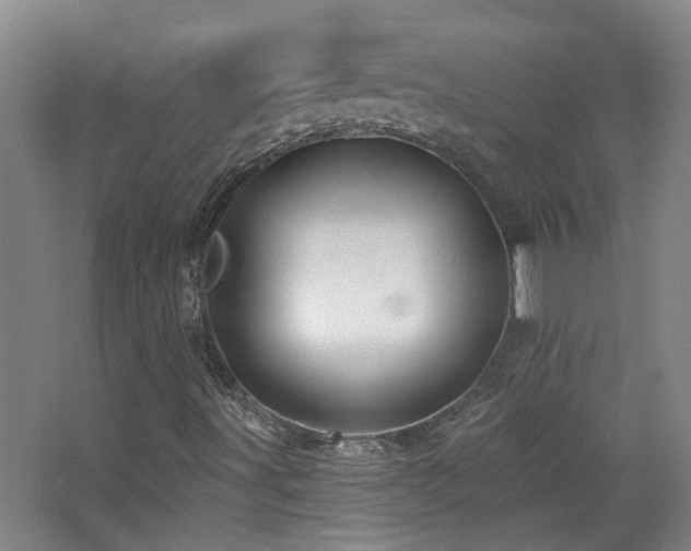 X0000068741491200604281126