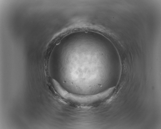 X0000068741494200604281126