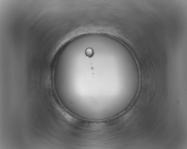 X0000068741498200604281126