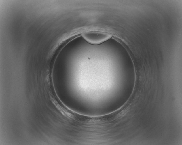 X0000068741499200604281126