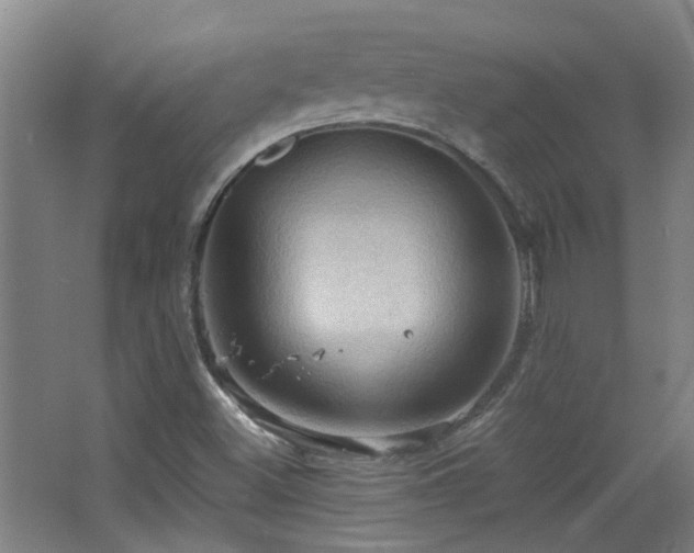 X0000068741500200604281126