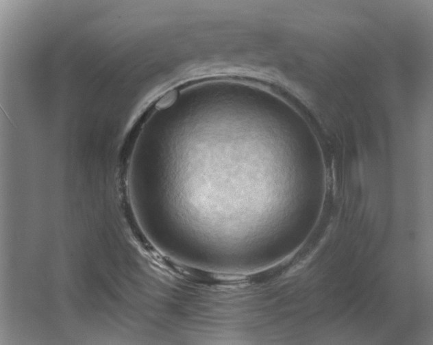 X0000068741501200604281126