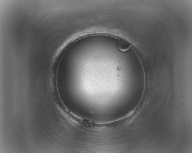 X0000068741502200604281126