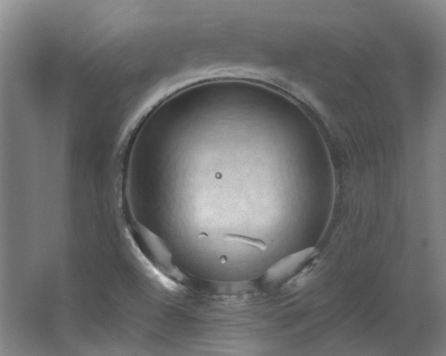 X0000068741504200604281126