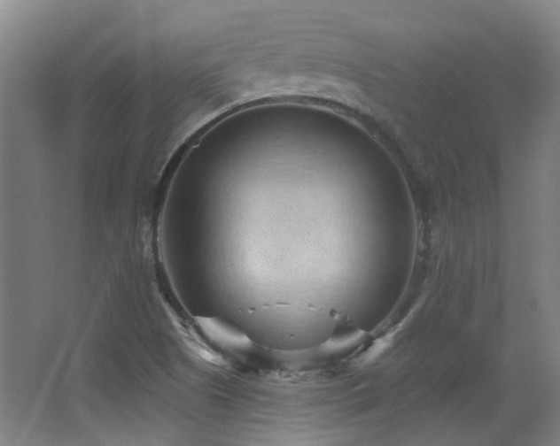 X0000068741505200604281126