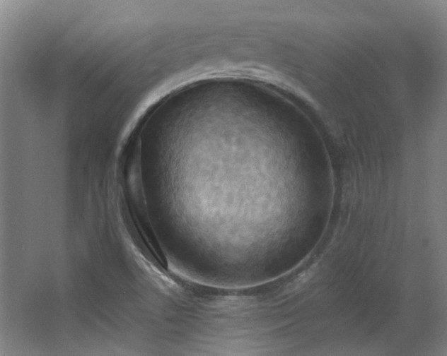 X0000068741506200604281126