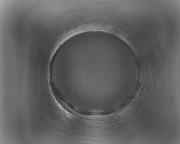 X0000068741508200604281126