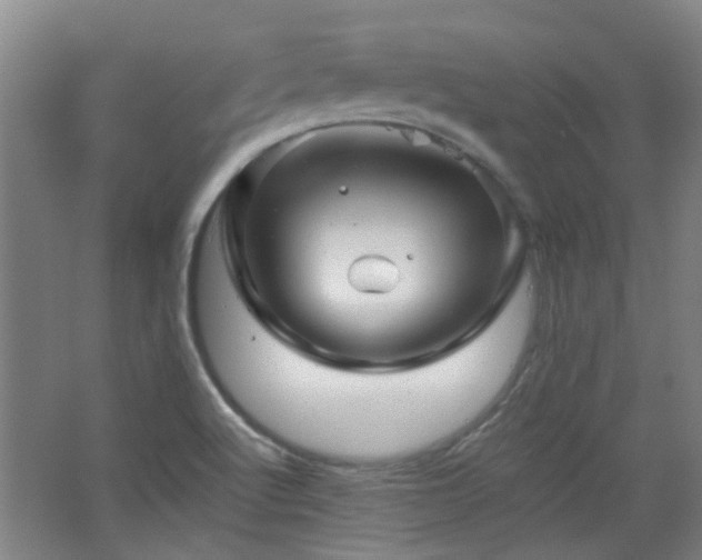 X0000068741512200604281126