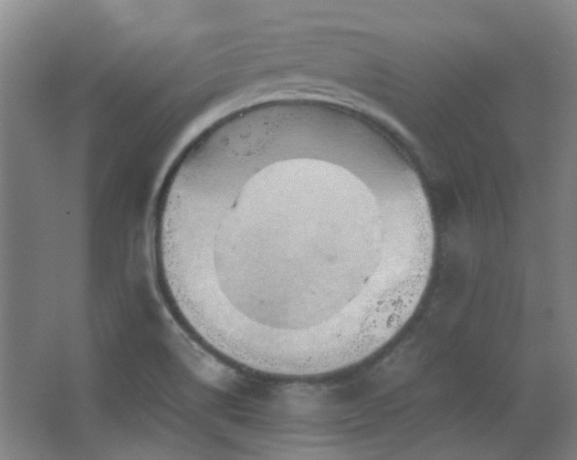 X0000068741514200604281126