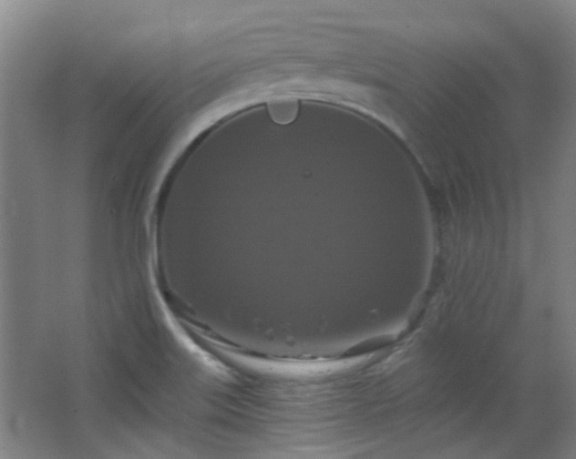 X0000068741515200604281126