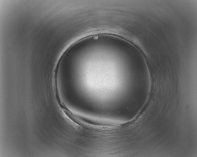 X0000068741516200604281126