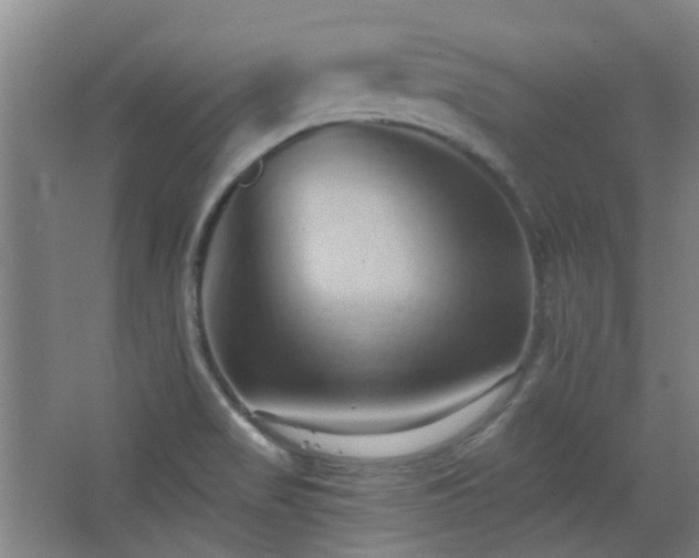 X0000068741517200604281126